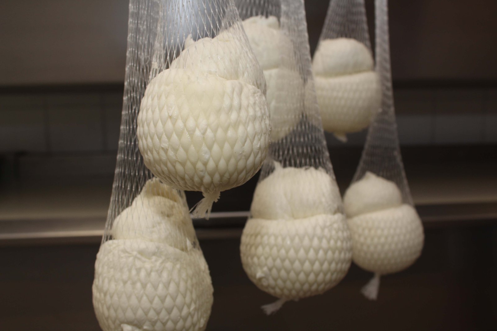 Caciocavallo di bufala